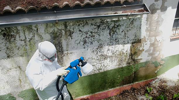 Top rated local Mold Remediation specialists in Aberdeen, MD